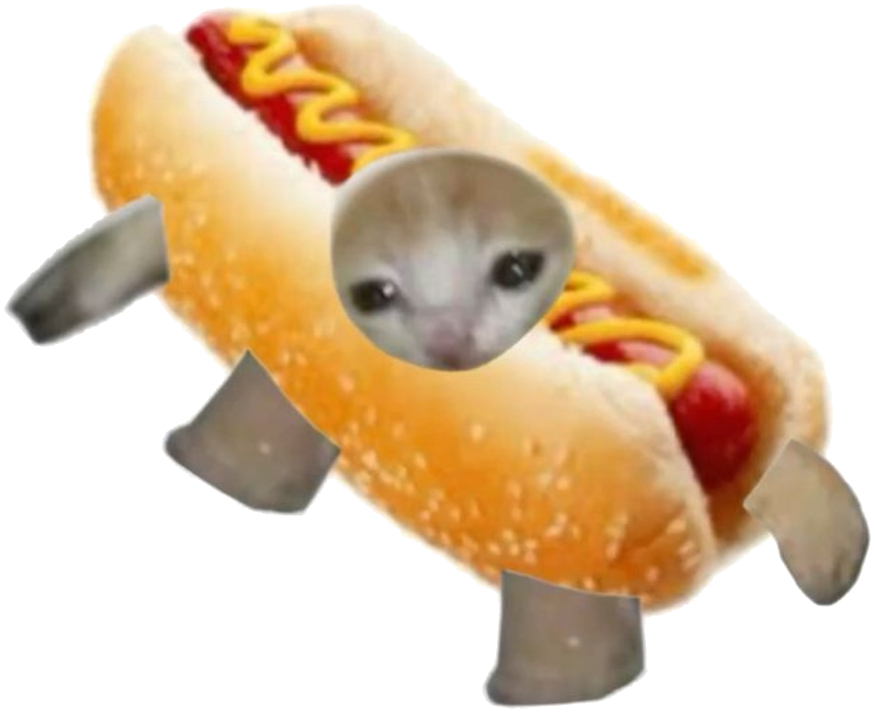 a kitten in a hot dog bun
